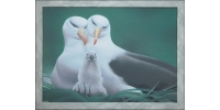 Albatrossfamilie